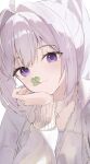  1girl ahoge blush closed_mouth clover commentary drawstring four-leaf_clover grey_hair hair_between_eyes hair_intakes head_rest highres hood hood_down hooded_jacket ine_(waktaverse) isegye_idol jacket jewelry korean_commentary light_blush long_hair long_sleeves looking_at_viewer meung-sil necklace pendant ponytail purple_eyes purple_shirt shirt sidelocks simple_background smile solo upper_body virtual_youtuber waktaverse white_background white_hair white_jacket 