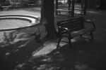  1girl absurdres bandaid bandaid_on_knee bandaid_on_leg bench collared_shirt commentary_request greyscale highres long_sleeves looking_at_viewer miniskirt monochrome narue original outdoors park park_bench photo_background shirt short_hair skirt solo squatting tree wide_shot 