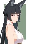  1girl absurdres animal_ear_fluff animal_ears bare_shoulders black_hair breasts closed_mouth fox_ears fox_girl from_side green_background highres hoshimi_miyabi long_hair looking_at_viewer red_eyes shirt simple_background solo upper_body white_shirt yuseii zenless_zone_zero 
