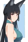  1girl absurdres animal_ear_fluff animal_ears bare_shoulders black_hair blue_background breasts closed_mouth fox_ears fox_girl from_side green_shirt highres hoshimi_miyabi long_hair looking_at_viewer red_eyes shirt simple_background solo upper_body yuseii zenless_zone_zero 