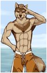  abs anthro beach biceps brown_eyes brown_fur brown_hair canine chest_tuft clothing feralise flexing front fur grin hair hand_on_hip looking_at_viewer male mammal muscles navel outside pecs pose salute sea seaside shorts smile solo standing swim_trunks swimsuit tan_fur toned topless tuft water wolf 