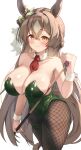  1girl absurdres alternate_costume animal_ears between_breasts blush breasts brown_eyes brown_hair brown_pantyhose closed_mouth clothes_between_breasts commentary_request cue_stick detached_collar ear_ribbon fishnet_pantyhose fishnets green_leotard hair_between_eyes highres holding holding_cue_stick horse_ears horse_girl horse_tail large_breasts leotard necktie necktie_between_breasts nontraditional_playboy_bunny p1_fcoyaa pantyhose partial_commentary red_necktie ribbon satono_diamond_(umamusume) smile solo strapless strapless_leotard tail umamusume white_ribbon wrist_cuffs 