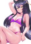  1girl absurdres animal_ears arm_up bandaid bandaid_on_face bandaid_on_nose bare_shoulders bikini black_hair blush breasts cleavage closed_mouth collarbone commentary_request hagesan3345 hair_between_eyes highres horse_ears horse_girl horse_tail large_breasts long_hair looking_at_viewer narita_brian_(umamusume) navel ponytail purple_bikini simple_background solo stomach swimsuit tail umamusume white_background yellow_eyes 