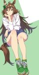  1girl absurdres ahoge animal_ears blue_eyes blue_shorts blush breasts brown_hair closed_mouth collarbone denim denim_shorts green_shoes hair_between_eyes hair_ornament hairclip hat highres horse_ears horse_girl horse_tail invisible_chair long_hair long_sleeves mini_hat mini_top_hat mr._c.b._(umamusume) reibun_(raven1119) shirt shoes shorts simple_background sitting smile solo tail top_hat umamusume white_shirt 