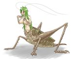  antennae anthro arthropod big_breasts breasts brown_eyes cricket cum cum_on_breads cum_on_breasts cum_on_face female green_hair hair human human_being_bizarre hybrid insect mammal multi_limb multiple_legs nipples nude plain_background pussy simple_background solo taur teeth white_background 