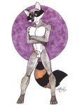 anthro balls bipedal brown_eyes circle crossed_arms erection front_view full-length_portrait fur grey_fur humanoid_penis looking_at_viewer male mammal marker_(art) markings mask_(marking) nude penis pinup pose raccoon ringed_tail sheath smile socks_(marking) solo standing terrie_smith traditional_media white_countershading white_fur 