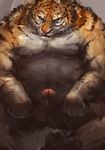  biceps big_muscles erection feline hair male mammal muscles nude penis racoonwolf tiger 