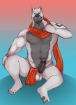 anthro balls canine erection horrorbuns loincloth loincloth_aside male mammal muscles penis solo wolf 