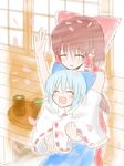  bad_id bad_pixiv_id blue_hair brown_hair cirno detached_sleeves hair_tubes hakurei_reimu highres hiraga_matsuri hug multiple_girls short_hair touhou 