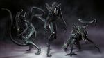  alien alien_(franchise) all_fours raised_tail wallpaper xenomorph 