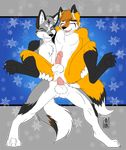  anal anal_penetration anthro balls canine duo erection fox gay interspecies male mammal penetration penis sapphwolf_(artist) sex wolf 