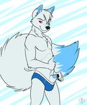  animal_genitalia arctic_fox blue_penis canine canine_penis chest_tuft erection flashing fox fur heterochromia looking_at_viewer male mammal penis penis_tip red_eyes sheath solo topless tuft underwear vallhund 