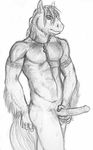  abs animal_genitalia anthro balls biceps equine erection flared_penis fur hair horse horsecock male mammal muscles nude pecs penis pose presenting sheath sketch solo standing tanuki_(artist) vein 