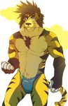  abstract_background aluminemsiren anthro biceps black_fur black_hair black_nose body_markings bulge chest_tuft claws feline flexing fur gloves green_eyes grin hair looking_at_viewer male mammal markings muscles nipples pecs pose smile solo speedo standing stripes swimsuit tiger topless tuft yellow_fur 