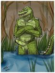  alligator balls crocodile erection male mike_(artist) penis reptile scalie solo 