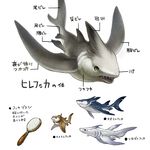  character_sheet creature dorsal_fin fins no_humans nostrils pectoral_fin pixiv_fantasia pixiv_fantasia_new_world shark sharp_teeth tail tail_fin teeth tochimiki_(toichi) translation_request 