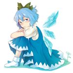  ankle_socks blue_eyes blue_hair cirno dress fingernails flower frown hair_ribbon knees_to_chest knees_up leg_hug looking_away looking_back moriya_01 no_shoes puffy_short_sleeves puffy_sleeves ribbon short_hair short_sleeves simple_background sitting solo tears touhou white_background wings 