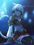  animal_ears cat_ears dark detached_sleeves final_fantasy final_fantasy_xiv hair_ornament looking_at_viewer magma_chipmunk midriff miqo'te navel parted_lips purple_eyes short_hair sitting solo tail thighhighs y'shtola_rhul 