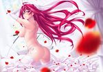  ass corticarte_apa_lagranges elbow_gloves kannatsuki_noboru long_hair petals red_hair scan shinkyoku_soukai_polyphonica stockings topless 