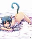  1boy bed blue_hair cat ciel_phantomhive kuroshitsuji red_eyes seductive shirt white_shirt 