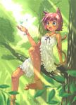  aki_(akisora_hiyori) animal_ears anklet barefoot blush bracelet bug butterfly cat_ears cat_tail dappled_sunlight dress fang feet green_eyes highres insect jewelry nature necklace open_mouth original pink_hair short_hair sitting solo spread_toes sunlight tail tree tree_branch 