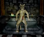  boots candle crypt dark erection feline geowolf green_eyes khajiit male mammal nude penis stripes the_elder_scrolls the_elder_scrolls_v:_skyrim video_games 