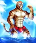  abs anthro biceps big_muscles body_markings brown_fur brown_nose bulge bunic cheetah clothing cloud clouds ear_piercing eyewear fangs feline flexing fur goggles green_eyes grin hair looking_at_viewer male mammal markings muscles nipples open_mouth orange_hair pecs piercing pose shorts sky smile solo speedo spots standing sunny swimsuit tan_fur teeth toned tongue topless water wet whiskers 