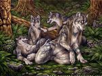  anklet anthro blue_eyes bracelet braid brown_eyes canine carving dark_natasha female grass group hair jewelry leaf long_hair looking_at_viewer male mammal moss necklace nude outside rock teeth tooth tree were werewolf werewolf_calendar wolf yellow_eyes young 