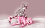  aeris_(vg_cats) anthro balls bell blue_eyes blush cat collar duo entwined_tails feline female fur grey_fur hair leo_(vg_cats) male mammal penetration penis pink_fur pink_hair pussy sex straight vaginal vaginal_penetration vg_cats zeroseven 