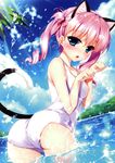  :o absurdres animal_ears aqua_eyes areolae ass blue_eyes blush cat_ears cat_tail curly_hair day hayakawa_harui highres looking_back michioka_airi one-piece_swimsuit open_mouth palm_tree paw_pose pink_hair scan school_swimsuit see-through shoujo_shin'iki_shoujo_tengoku solo splashing sunlight swimsuit tail tree twintails wading water wet white_school_swimsuit white_swimsuit 