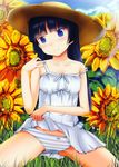  black_hair blue_eyes blush collarbone day dress edogawakid flower gokou_ruri hat highres jpeg_artifacts long_hair mole mole_under_eye off_shoulder ore_no_imouto_ga_konna_ni_kawaii_wake_ga_nai panties sitting skirt skirt_lift smile striped striped_panties sun_hat sunflower underwear white_dress 