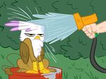  avian brown_feathers brown_fur elslowmo female feral friendship_is_magic fur gilda_(mlp) grass gryphon hose human mammal my_little_pony outside sitting solo unimpressed water wet white_feathers wings yellow_eyes 