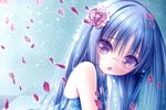  blue_hair chinese_dress flowers glasses long_hair nagatsuka_saki purple_eyes ro-kyu-bu! tinkle 