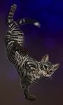  ambiguous_gender cat falling feline fur grey_fur katanimate mammal realistic solo stripes tabby whiskers yellow_eyes 