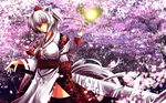  animal_ears black_legwear cherry_blossoms detached_sleeves hat highres inubashiri_momiji long_sleeves looking_at_viewer nekominase obi petals red_eyes revision sash silver_hair solo sword tail thighhighs tokin_hat touhou tree weapon wide_sleeves wolf_ears wolf_tail 