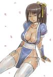  1girl breasts brown_eyes brown_hair choker cleavage dark_skin dead_or_alive kasumi kasumi_(doa) large_breasts marmelo ninja ponytail sakura_petals sitting solo tecmo 