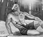 abs animal_genitalia anthro balls belt biceps big_penis clothed clothing equine erection flared_penis fur greyscale hair half-dressed horse horsecock looking_at_viewer male mammal monochrome muscles nipples pecs penis pose presenting shorts sitting solo topless trogan vein 