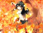  autumn black_hair black_wings hat leaf looking_at_viewer maple_leaf mushi_baibai red_eyes shameimaru_aya solo tokin_hat touhou wings 