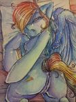  anus blue_fur cutie_mark equine female feral friendship_is_magic fur hair horse lavenderhush mammal multi-colored_hair my_little_pony pegasus pony pussy rainbow_dash_(mlp) rainbow_hair solo wings 