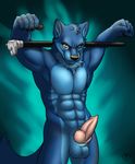  5_fingers abs animal_genitalia anthro balls biceps big_muscles black_nose blue_fur cane canine canine_penis claws erection eyewear flexing front fur grin knot looking_at_viewer male mammal monocle muscles nude pecs penis pinup pose presenting sheath smile solo standing toned trivol vallhund wolf yellow_eyes 