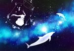  animal bubbles chi@ki dolphin dress original sky stars twintails white_hair 