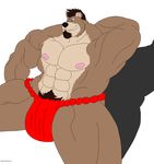  2013 abs anthro bear biceps big_muscles brown_fur canine clothing fundoshi fur hair kisuke_mineo looking_at_viewer male maxime-jeanne muscles nipples pecs pose smile solo underwear 