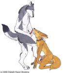  canine canines cum duo fennec fox gay male mammal oral ravyn wolf 