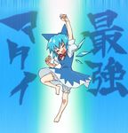  bad_id bad_pixiv_id barefoot bloomers blue_hair cirno short_hair solo tonbi touhou underwear white_bloomers wings 