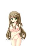  1girl blush breasts brown_hair female green_eyes long_hair looking_at_viewer nipples nude open_mouth original pussy sabotencc solo standing uncensored 