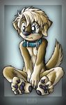  anthro blue_eyes canine carlosdamian01 claws collar cute dog hindpaw male mammal nude paws sitting solo toe_claws 
