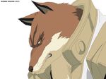  4:3 alpha_channel anthro bleach brown_fur canine clothing fur hi_res male mammal maxime-jeanne plain_background pose sajin_komamura shinigami solo transparent_background wolf yellow_eyes 