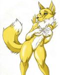  breasts canine covered_breasts digimon female fox invalid_tag renamon smile wolf yellow_fur 