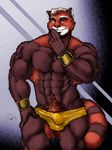  abstract_background anthro biceps big_muscles bigtiger bracelet brown_fur brown_nose bulge fur green_eyes grin jewelry looking_at_viewer male mammal muscles nipples orange_fur pecs pose pubes red_panda smile solo speedo standing swimsuit toned topless unknown_artist 
