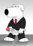  brian_griffin canine clothing dog erection family_guy humanoid_penis jerseydevil male mammal penis solo vein 